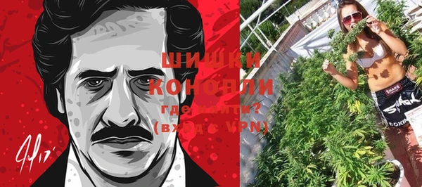 гидропоника Горняк