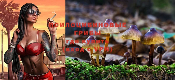 гидропоника Горняк