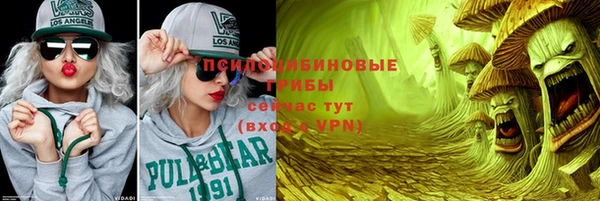 spice Вяземский