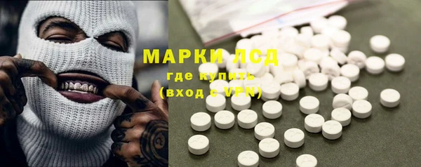 spice Вяземский