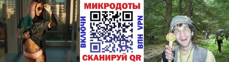 Псилоцибиновые грибы GOLDEN TEACHER  купить наркотик  Грозный 